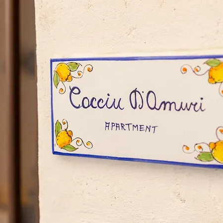 Apartment Cocciu D'amuri *